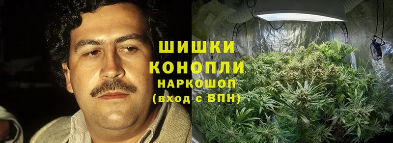 Бошки марихуана Ganja  блэк спрут как войти  Донецк  как найти закладки 